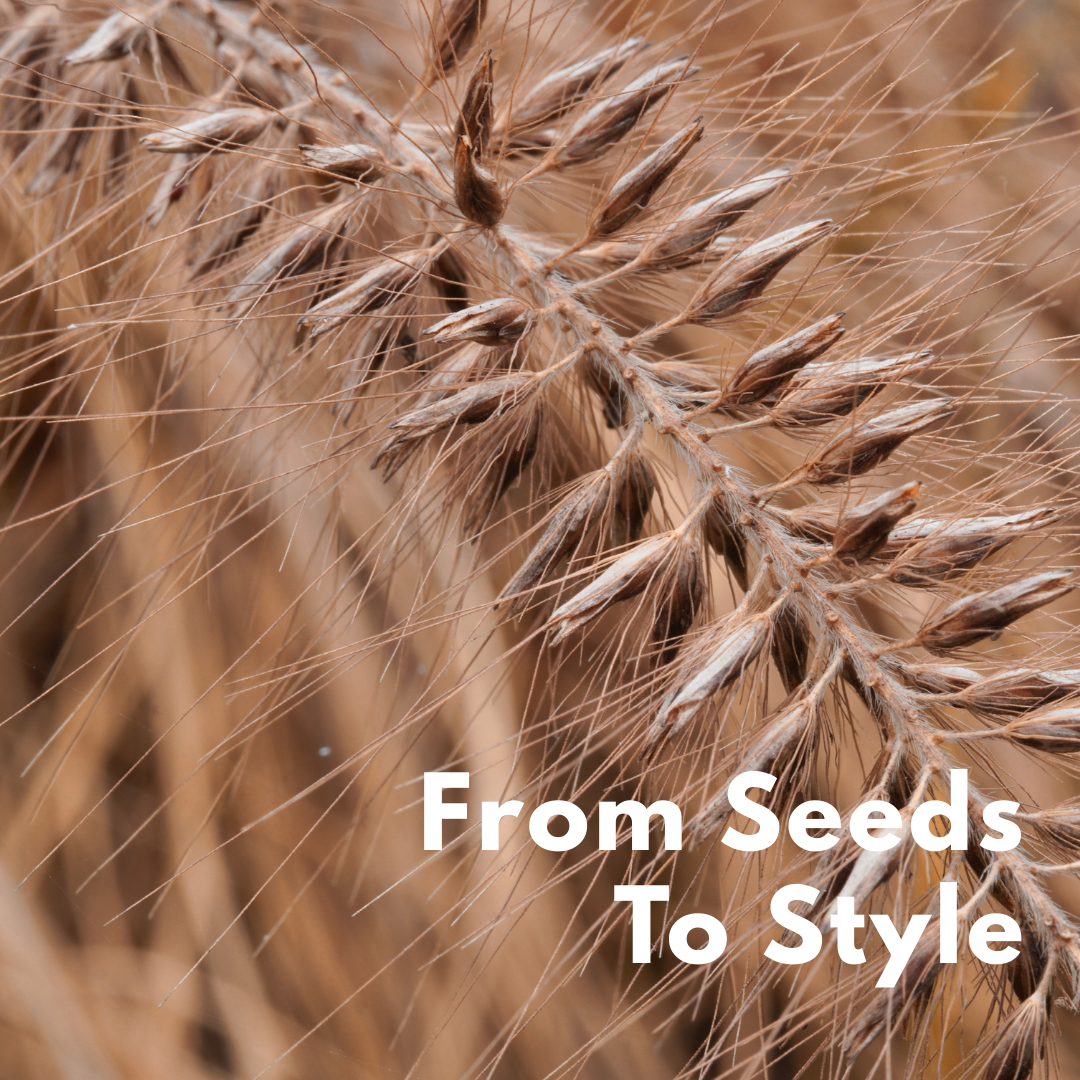 From Seed to Style