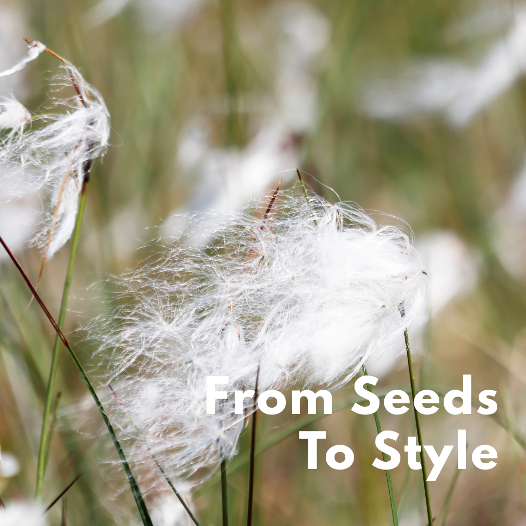 From Seed to Style
