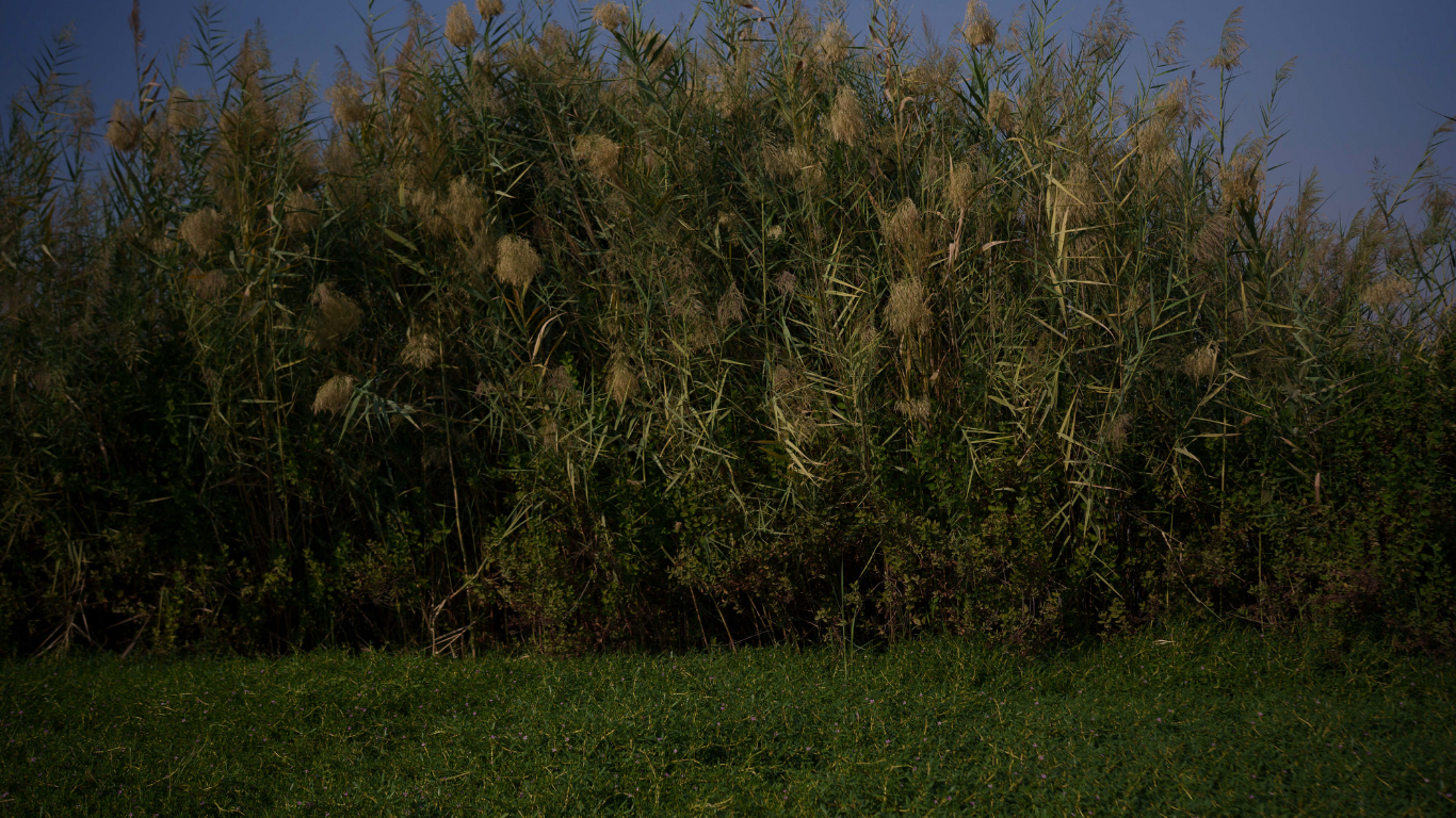 collection-banner-image